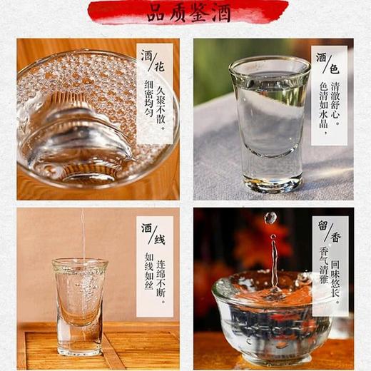 MM 山姆 55%vol西凤酒 1L 商品图4