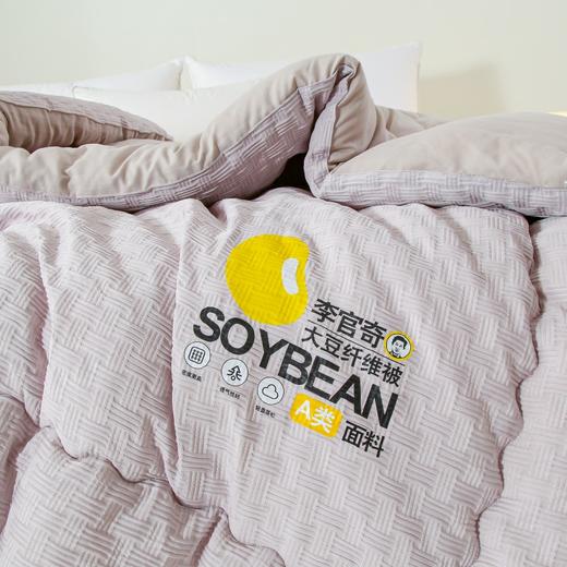 【清仓79元起】李官奇正品A类针织棉华夫格提花大豆被 软糯贴身春秋被、冬被【不支持退换货】 商品图12