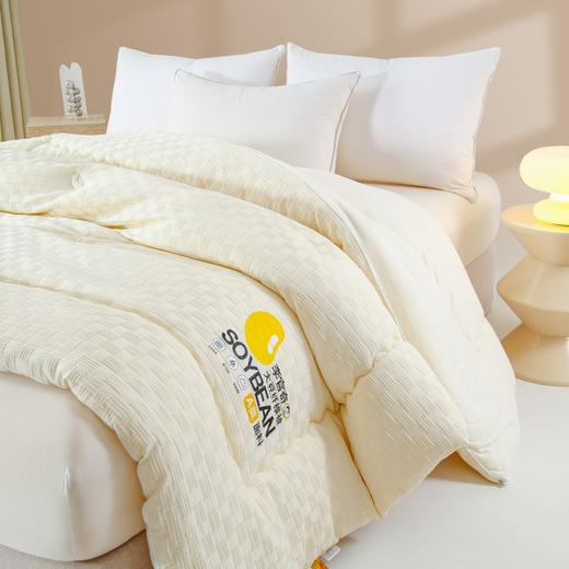 【清仓79元起】李官奇正品A类针织棉华夫格提花大豆被 软糯贴身春秋被、冬被【不支持退换货】 商品图3