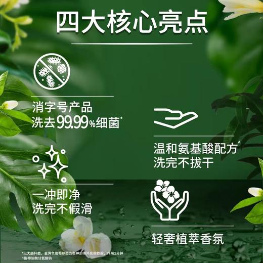 联合利华力士抑菌泡泡洗手液悠婉莹净小苍兰香225ML 商品图3