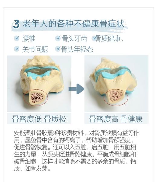 孩子变高高老人护关节!捷克安能聚壮骨胶囊补钙保护骨骼关节软骨 商品图7