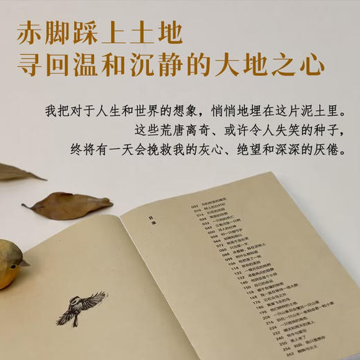 一只山雀总会懂另一只山雀 回归乡间故里 不再追赶时间 申赋渔 著 商品图2