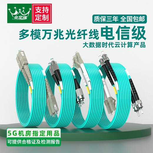 爆款★热销@万兆【OM3/OM4光纤跳线】电信级10G/25G/40G/100G LC-LC多模双芯光钎线3米5米10m20米两芯双工小方头机房局域网布线光缆网吧/电竞酒店防鼠万兆铠装光纤跳线 商品图0
