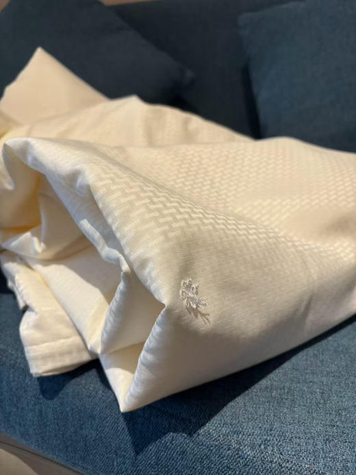 亚马逊订单，外贸100%纯蚕丝夏被！
6A级抗菌棉面料，专业施罗德阻螨面料，可直接贴肤使用！严选100%蚕丝填充，支持质检，百分百蚕丝填充！尺寸2.0*2.3米，条重3斤左右 商品图5