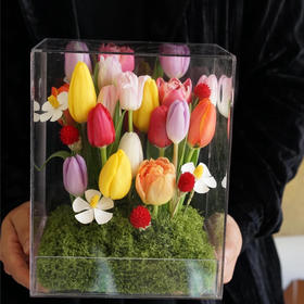 《缤纷春日》19枝郁金香透视花盒