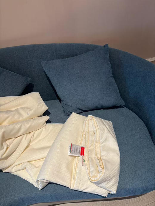 亚马逊订单，外贸100%纯蚕丝夏被！
6A级抗菌棉面料，专业施罗德阻螨面料，可直接贴肤使用！严选100%蚕丝填充，支持质检，百分百蚕丝填充！尺寸2.0*2.3米，条重3斤左右 商品图4