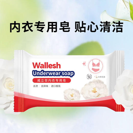 威立世Wallesh内衣专用皂80g 商品图0