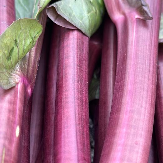 生态红菜苔 | 绿家自产 * ecological red choy sum | Self-production 商品图6