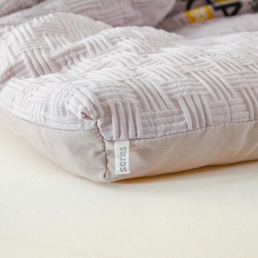 【清仓79元起】李官奇正品A类针织棉华夫格提花大豆被 软糯贴身春秋被、冬被【不支持退换货】 商品图13