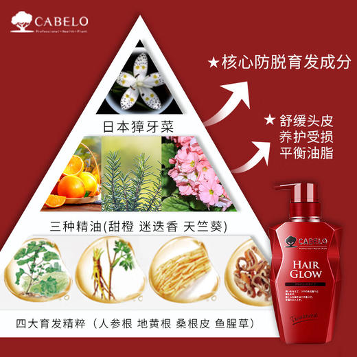 卡蓓诺 护发素（加强型）红瓶 350mL 商品图4