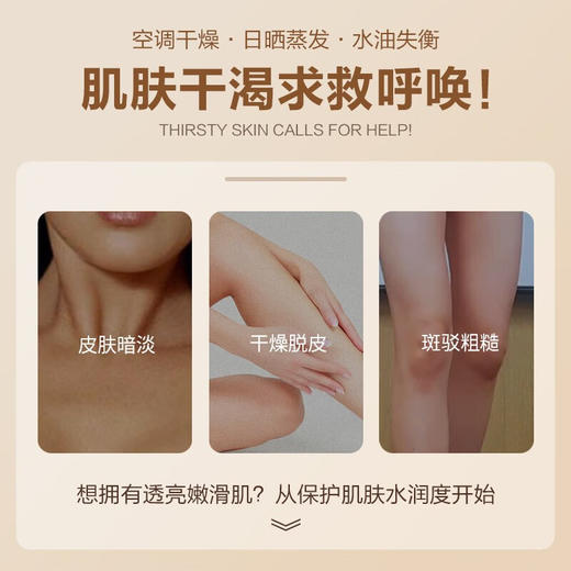 柏缇果酸润体乳250ml 商品图4