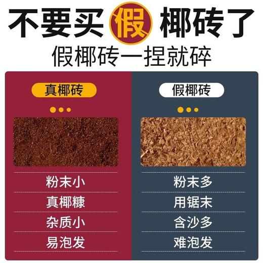 大块无菌种植土粗种菜营养椰通用型椰砖养花多肉椰壳椰糠土壤脱盐 商品图2