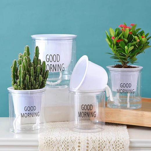 浇水绿萝免塑料早安吸水储水盆防烂根懒人双层自动花盆圆形培透明 商品图1