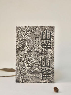 一只山雀总会懂另一只山雀 回归乡间故里 不再追赶时间 申赋渔 著