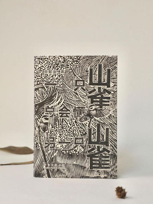 一只山雀总会懂另一只山雀 回归乡间故里 不再追赶时间 申赋渔 著 商品图0