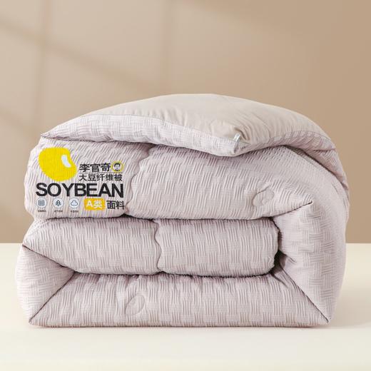 【清仓79元起】李官奇正品A类针织棉华夫格提花大豆被 软糯贴身春秋被、冬被【不支持退换货】 商品图8