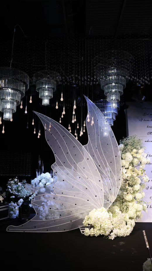 羽翼（运费自理） 商品图1