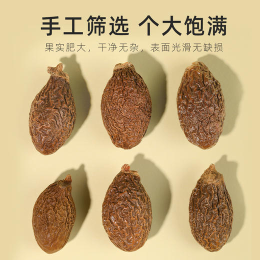 杞里香50g瓶装胖大海，草本清润、咽喉伴侣道地广东源头采收，当季新货，传统工艺，自然晾晒，反复耐泡，味甘清爽宜人，可搭配枸杞一起 商品图3