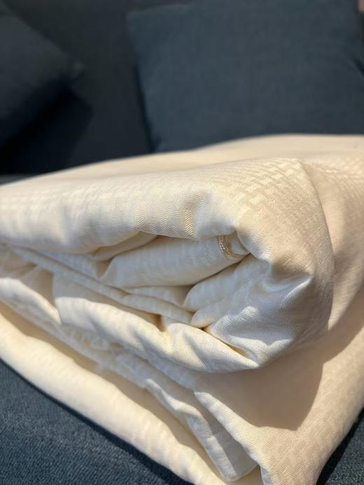 亚马逊订单，外贸100%纯蚕丝夏被！
6A级抗菌棉面料，专业施罗德阻螨面料，可直接贴肤使用！严选100%蚕丝填充，支持质检，百分百蚕丝填充！尺寸2.0*2.3米，条重3斤左右 商品图3