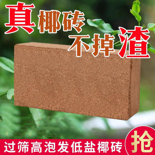 大块无菌种植土粗种菜营养椰通用型椰砖养花多肉椰壳椰糠土壤脱盐 商品图0