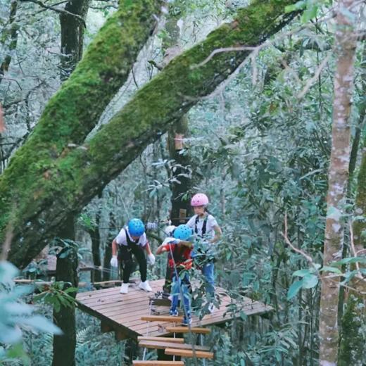 6天5晚【奢玩·西双版纳五一暑假亲子营】体验雨林穿越、特色傣族民俗文化、野象谷、小熊猫庄园，1大1小到2大2小享主题正餐，全程高能有玩有学不枯燥，高端野奢度假体验~ 商品图14