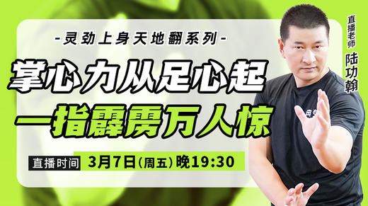 【3月7日】掌心力从足心起，一指霹雳万人惊 商品图0