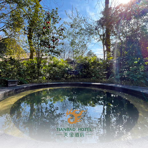 天宝温泉券 商品图0