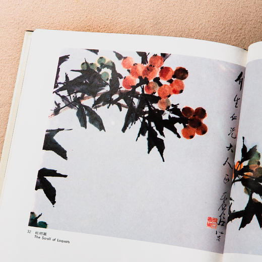 【绝版好书】1987年台湾艺术图书出版《虚谷画集》大16开精装104页 商品图6