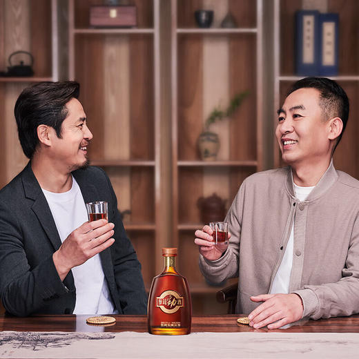 劲牌 38°参茸劲酒500ml【商端养生 礼品酒 】 商品图8