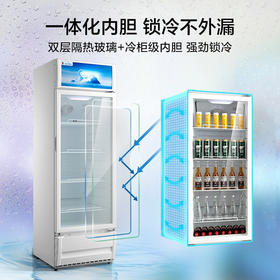 美的（202878）展示柜 SC-320GM(Q) 白色 美的冰箱