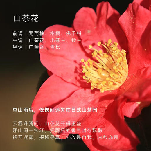 东方宝石 护手霜 日式风情-山茶花香75ml 商品图2