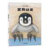 企鹅白宝 商品缩略图0