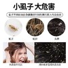 超密齿梳虱子虱卵刮头老式篦子除加密虱子篦子头屑梳去头虱儿童 商品缩略图1