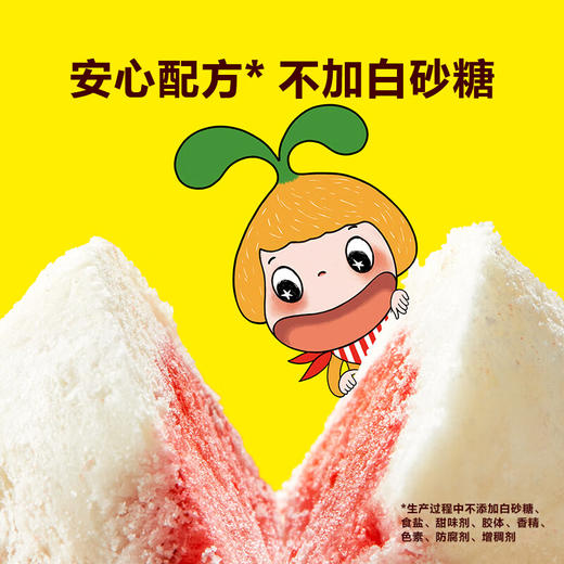 【一般贸易】窝小芽每日水果星球奶酪24g 甄选新西兰干酪 不含白砂糖 商品图5