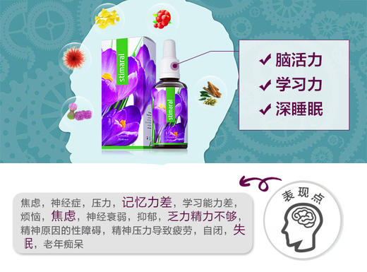 捷克Energy安能聚精神能源 30ml 提升专注力/缓解精神疲劳/营养大脑神经 商品图6