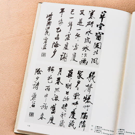 【绝版好书】1987年台湾艺术图书出版《虚谷画集》大16开精装104页 商品图5