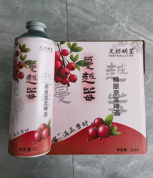 蔓越莓【精酿原浆啤酒】 商品图0