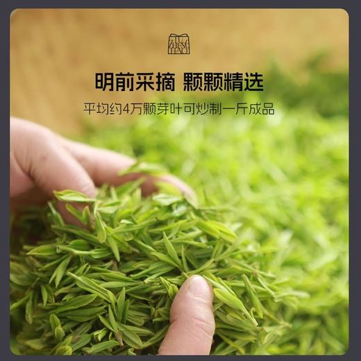 【2026新茶上市】卢正浩杭州白鹤峰明前特级老茶树西湖龙井茶叶150g 商品图8
