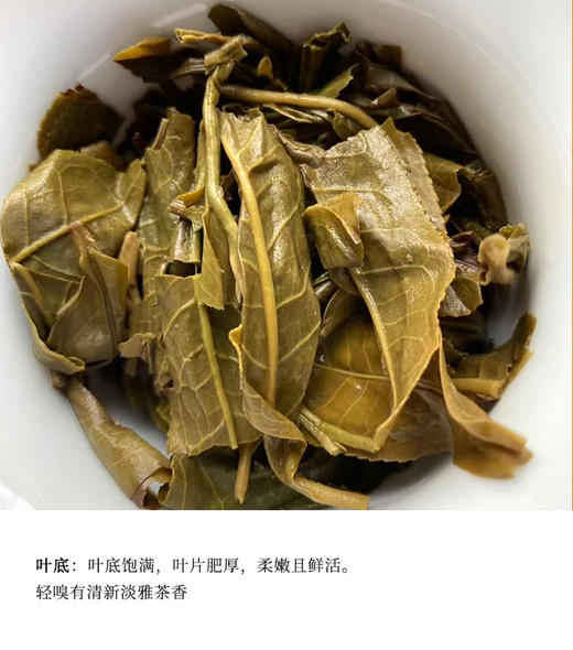 德丰昌 | 2024年 滑竹梁子 古树生普 100g/饼 商品图5