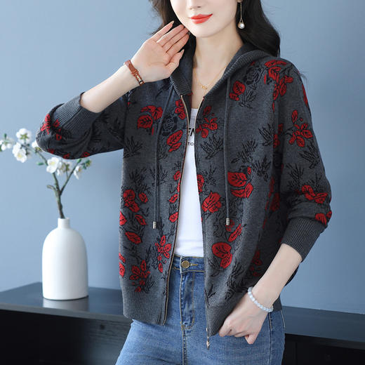 CC-10-6202连帽针织开衫2025年春款外搭提花毛衣外套撞色毛线衫女上衣 商品图2