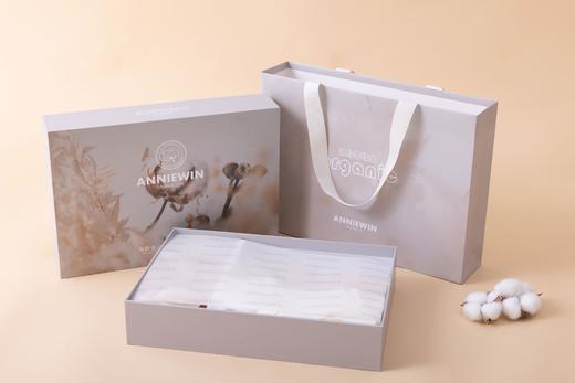 ANNIEWIN棉绿香格里【有机彩棉】新生儿礼盒 商品图0