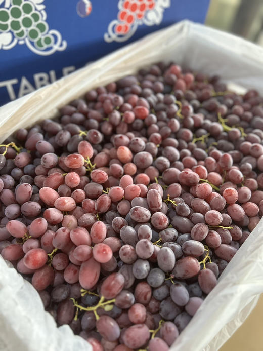 宏丰精选 澳洲进口无籽奶提 口感纯甜 无籽  活动价28.8一斤 商品图1