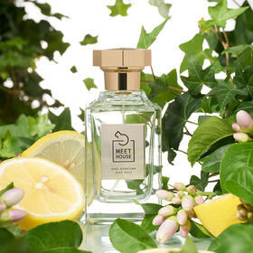 常春藤之水100ml