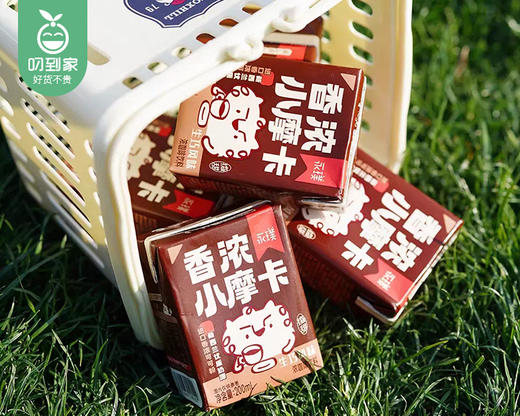 永璞香浓小摩卡-生巧风味*2排（每排200ml*3盒）生产日期: 1月 商品图3