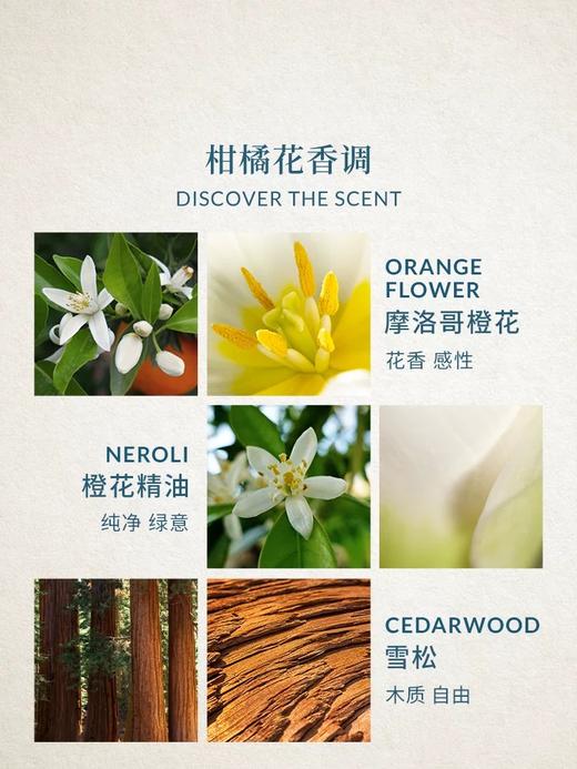欧珑游牧橙花香水波西米亚柑橘花香调持久留香 商品图1