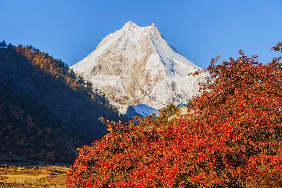 14座8000米-玛纳斯鲁大环线徒步MCT