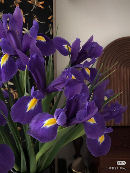 国产花材-【鸢尾】紫 商品图0