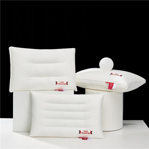 【热卖推荐】自然醒A类全棉三防酒店枕头助睡眠防水防汗防头油枕头芯一对护颈椎枕成人整头男XK 商品图1