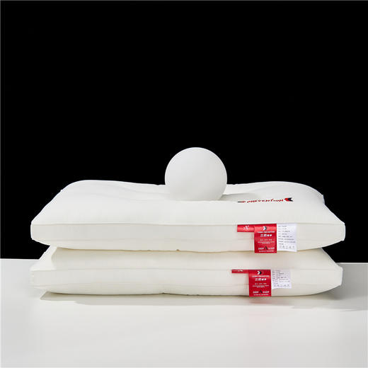 【热卖推荐】自然醒A类全棉三防酒店枕头助睡眠防水防汗防头油枕头芯一对护颈椎枕成人整头男XK 商品图10