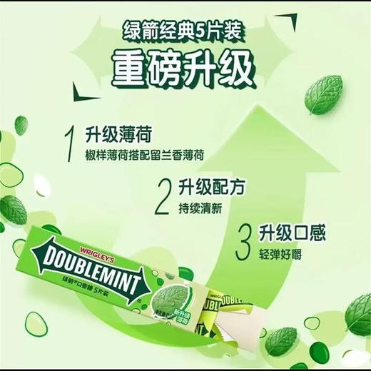 绿箭原味薄荷口香糖 5片装 13.5g 商品图3